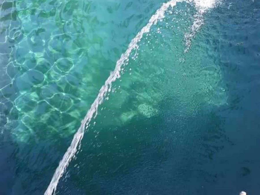 Swimming Pool Waterproofing — SD Aqua Proof project